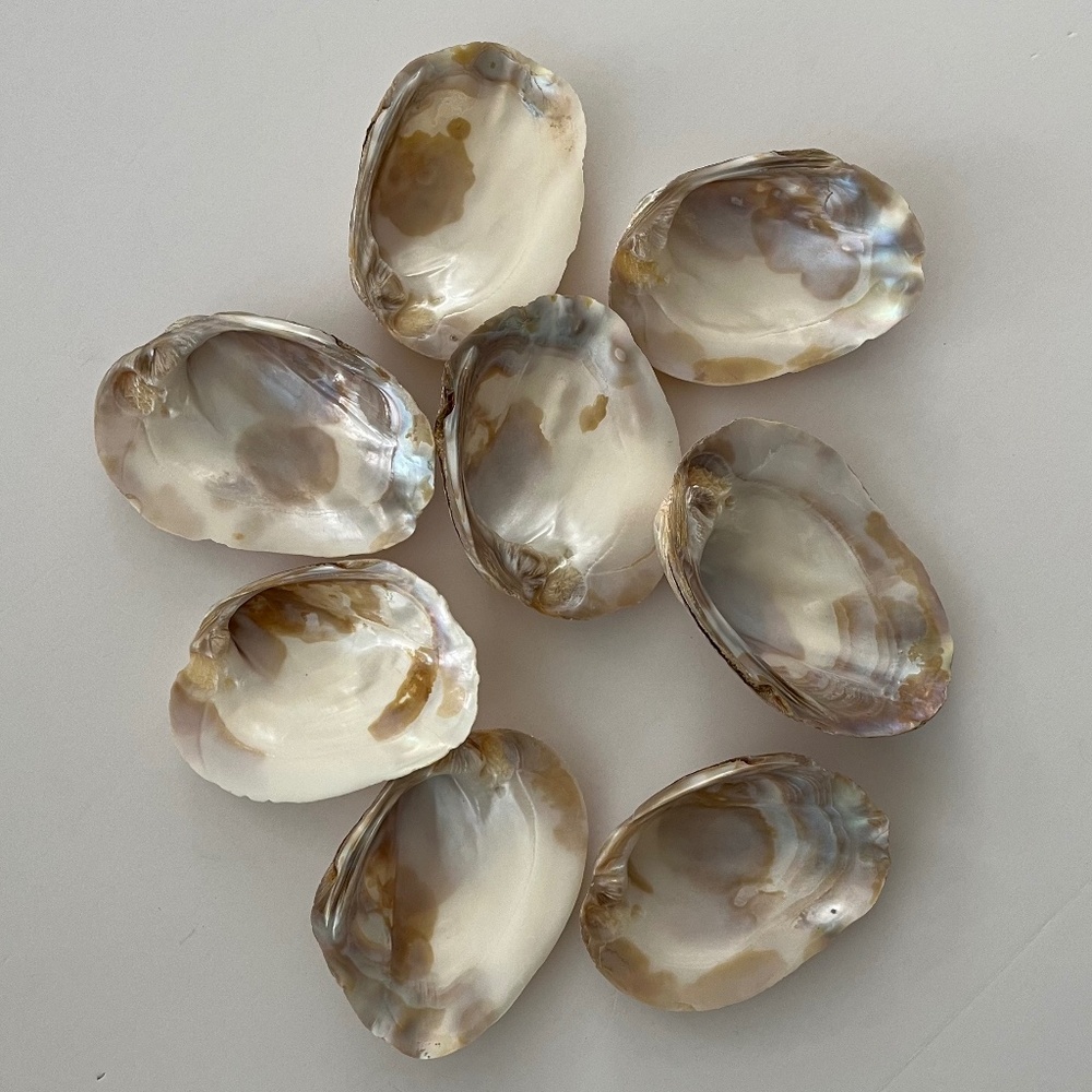 PRICE DROPPED! Perfect for Appetizers, Favors. Trinkets, or...